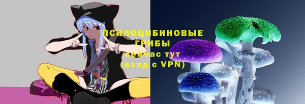 герыч Алексин