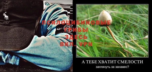MESCALINE Нефтекумск