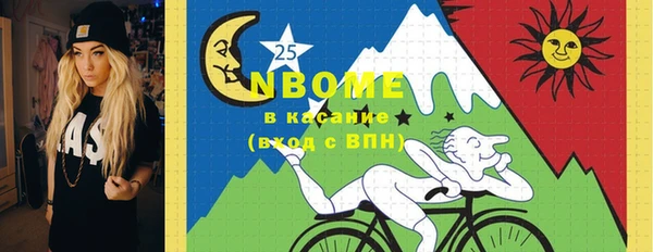 соль ск Алзамай