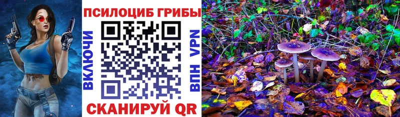 Псилоцибиновые грибы мицелий  Туран 